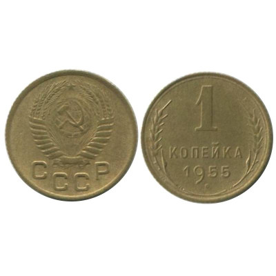 Монета 1 копейка 1955 г. (1)