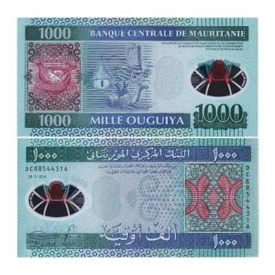 Банкнота 1000 угий Мавритании 2014 г. Верблюд (полимер)