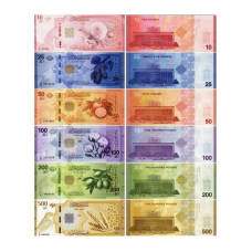 Набор 6 банкнот Сирии 10, 25, 50, 100, 200 и 500 фунтов 2025 г. Флора и фауна