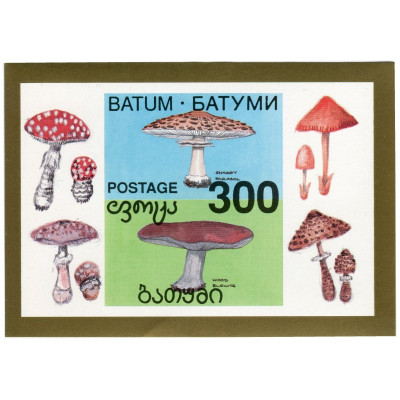 Блок марок Батуми (Грибы) 1 шт.