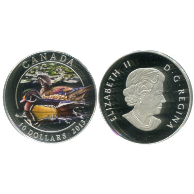 Серебряная монета 10 долларов Канады 2013 г., Каролинская утка