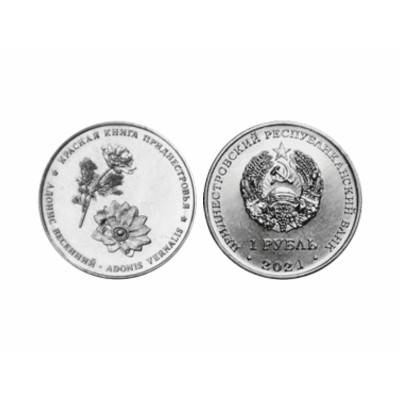 Монета 1 рубль Приднестровья 2021 г. Адонис весенний
