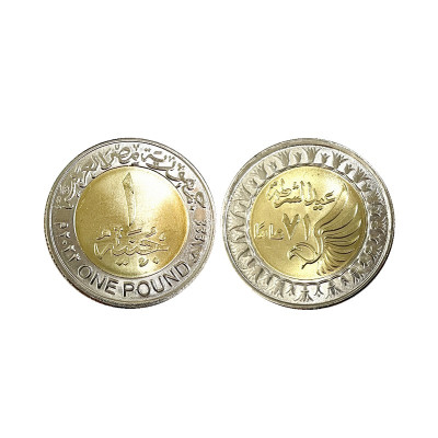 Монета 1 фунт Египта 2023 г. День полиции