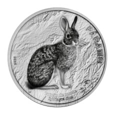 50 колонов Коста-Рики 2023 г. Горный  кролик
