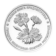 1 рубль Приднестровья 2025 г. Гвоздика изменчивая