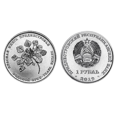 Монета 1 рубль Приднестровья 2019 г. Водяной орех